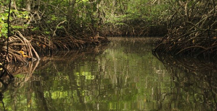 MP ingressa com ação para proibir Governo do Estado de lançar esgoto de presídio em área de mangue em João Pessoa