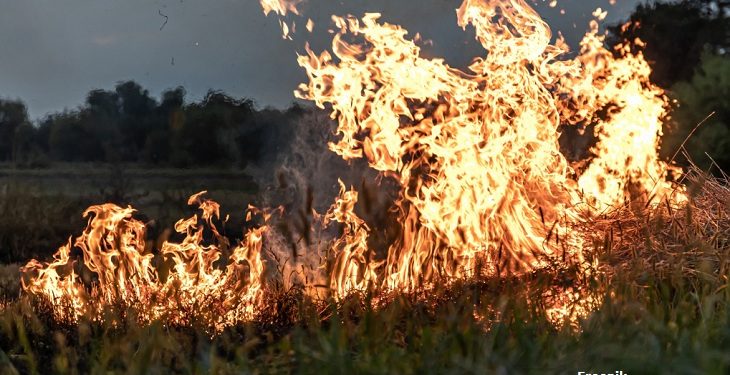 MP recomenda aos municípios de Santa Rita e Cruz do Espirito Santo fiscalização e combate a queimadas