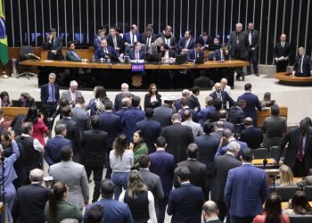 Câmara aprova projeto que proíbe uso de animais em testes de produtos de higiene pessoal e cosméticos