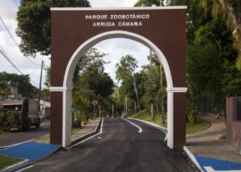 PMJP fecha “Bica” após morte de homem que escalou parede de 6 metros, transpôs grades e entrou na jaula de leoa