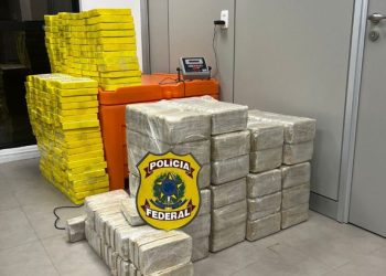 Operação da PF apreende 464 kg de cocaína no Jardim Cidade Universitária em JP e prende dona da casa