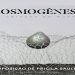 Exposição “Cosmogênese” chega a João Pessoa e propõe diálogo entre arte, ciência e ancestralidade