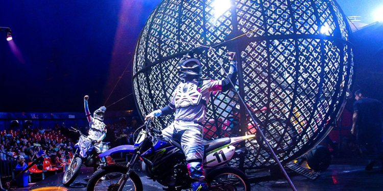 Circo Kroner anuncia “Campanha Meia Solidária” com ingressos a partir de R$ 25, no Carrefour Bessa