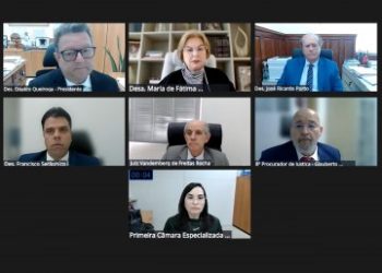 TJPB isenta condomínio de responsabilização por gatos e nega indenização em ação proposta por Instituto