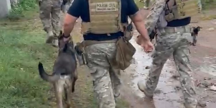 Operação na Paraíba prende 21 pessoas e bloqueia R$ 15 milhões de organização que distribuía drogas via delivery