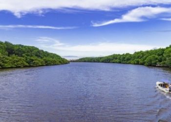 Justiça suspende licença de usina de hidrogênio verde no Piauí que retiraria água do Rio Parnaíba