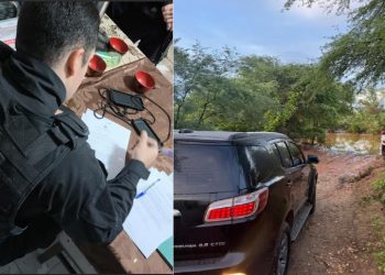 Operação da Polícia Federal revela plantio de maconha na zona rural de Santa Terezinha, sertão da Paraíba