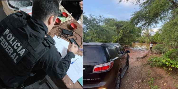 Operação da Polícia Federal revela plantio de maconha na zona rural de Santa Terezinha, sertão da Paraíba