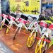 Embaixada de Negócios lidera articulação para trazer sistema inovador de bicicletas elétricas para João Pessoa