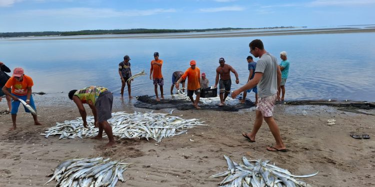 Incra/PB cria o primeiro Projeto Agroextrativista Pesqueiro da Paraíba em Barra de Mamanguape