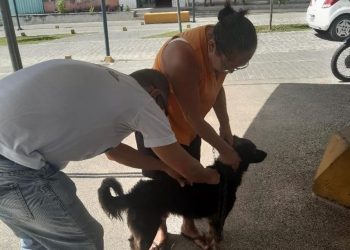 Conde inicia vacinação antirrábica com atendimento em bairros e comunidades até outubro