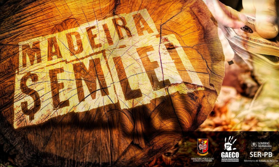Operação Madeira Sem Lei cumpre mandados de prisão e busca e apreensão em João Pessoa nesta 3ª