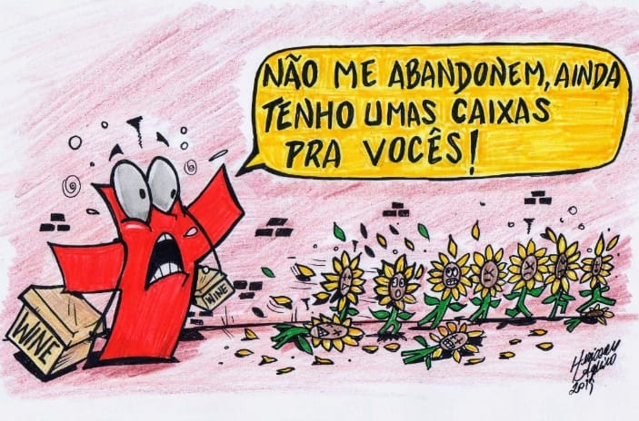 FUGA EM MASSA – Girassóis abandonam a Cruz da Calvário