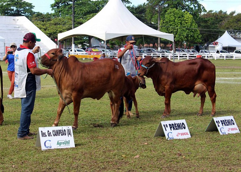 Começa amanhã, em João Pessoa, a Expofeira Paraíba Agronegócios com exposição, leilões e concurso leiteiro