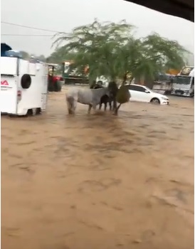 VEJA VÍDEO – Fortes chuvas provocam alagamentos e suspendem vaquejada na Paraíba no final de semana