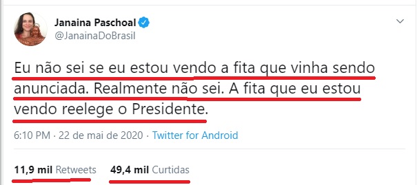 JANAÍNA PASCHOAL : “A fita que eu estou vendo reelege o presidente” disse deputada após ver vídeo da reunião de Bolsonaro com ministros