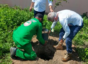 SEMANA DO MEIO AMBIENTE – Prefeitura de João Pessoa programa lives, mini-oficinas, vídeos educativos, plantio de árvores, entre diversas outras ações