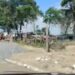 Operação combate atuação de facção, grilagem, invasão e desmatamento de área atlântica em Mangabeira