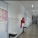 Recursos assegurados por Veneziano garantem reforma no ISEA e secretário agradece em nome de CG