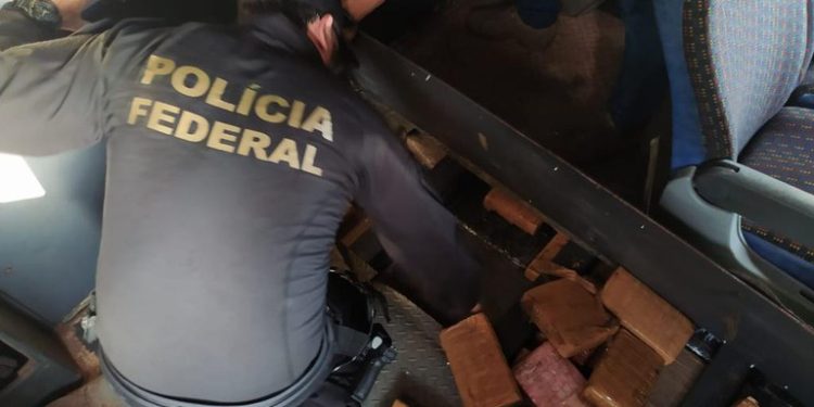 Polícia Federal prende homem e apreende 326 kg de shunk em assentos de um ônibus