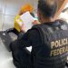 R$ 11 MILHÕES- Operação da PF na Paraíba mira esquema em manipulação de jogos de Campeonatos