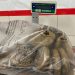 Polícia Federal prende idoso de 78 anos com 4,7 kg de cocaína tentando embarcar para Paris