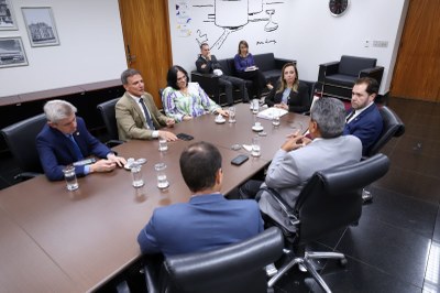 Senadores da CPI das Ongs apresentam documentos e informações a procuradora-geral da República