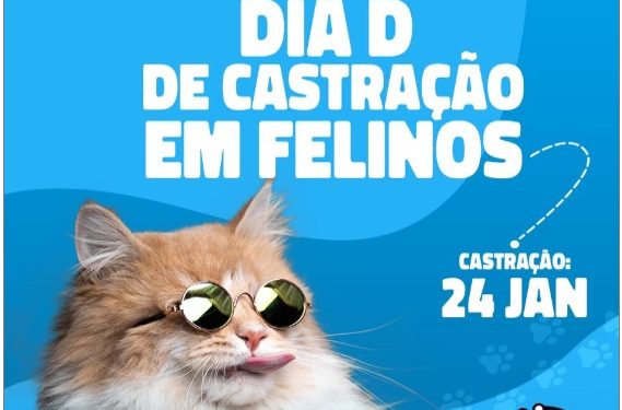 Cabedelo realiza ações em defesa dos animais com “Dia D de castração” e projeto “Adota com Amor”