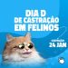Cabedelo realiza ações em defesa dos animais com “Dia D de castração” e projeto “Adota com Amor”
