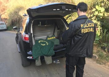 Operação da Polícia Federal cumpre mandados em investigação que apura caso de uniformes furtados do Ibama