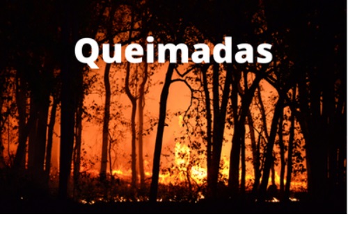 MPF monitora incêndio que tem mais de 3 mil focos e já atingiu mais de 600 mil hectares no Pantanal