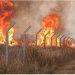 MPF cobra ação do Governo Lula no combate a incêndios e Justiça dá prazo de 72 horas para manifestação