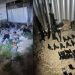 URGENTE- Após troca de tiros, PM prende 9 elementos e apreende fuzil, espingarda 12, pistolas e muita munição em Cabedelo