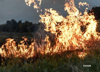 MP recomenda aos municípios de Santa Rita e Cruz do Espirito Santo fiscalização e combate a queimadas
