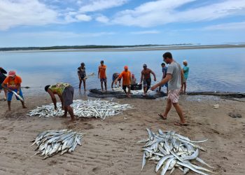 Incra/PB cria o primeiro Projeto Agroextrativista Pesqueiro da Paraíba em Barra de Mamanguape