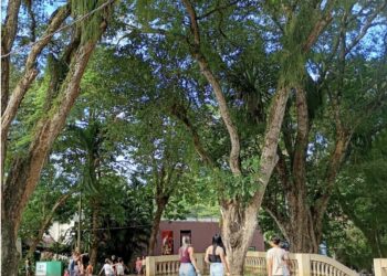 Parque Arruda Câmara abre ao público no feriado do Dia da Independência do Brasil