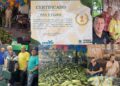 Hortifruti Pai & Filho é premiado pela Empasa por campeão de vendas e excelência no atendimento na Feira do Milho Verde